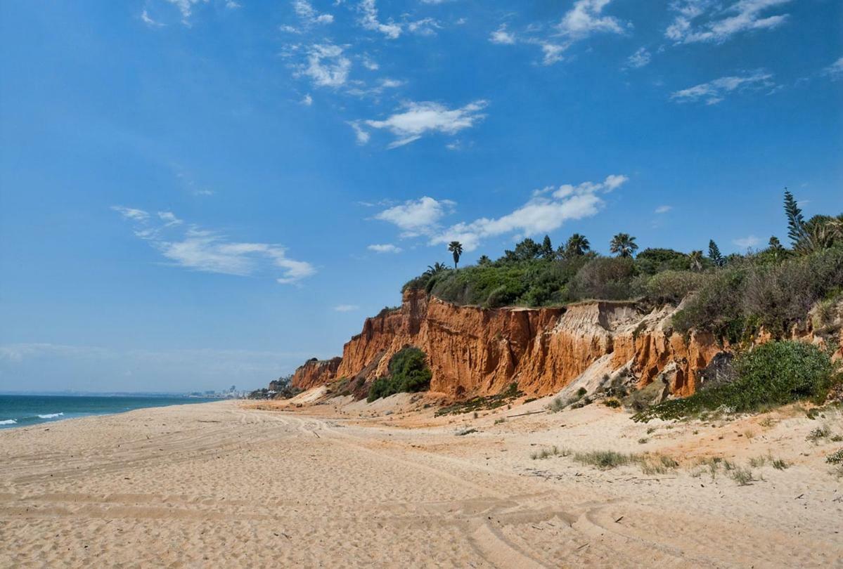 Beach Villa Vale Do Lobo Eksteriør billede